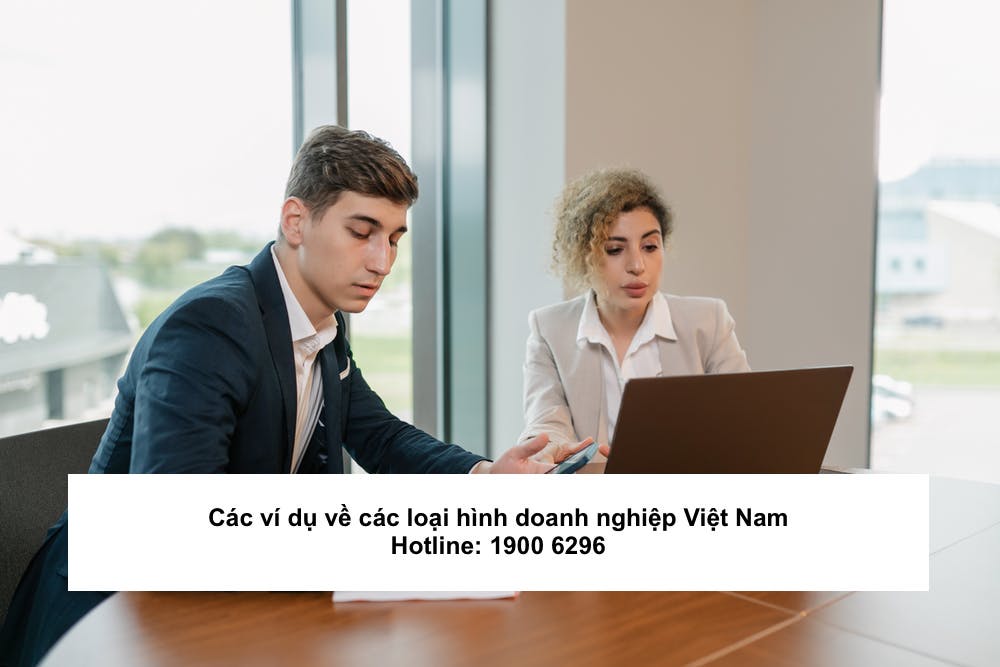 Các ví dụ về các loại hình doanh nghiệp Việt Nam